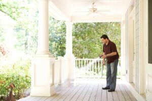Termite Trouble? What Every Homeowner in Maryland Should Know Before It’s Too Late - OnBaltimore.com